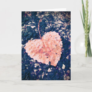 Liebe ist fragile Fotokarte Feiertagskarte