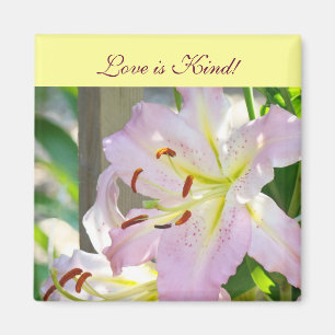 Liebe ist freundlich! Magnet-Geschenke Rosa Lily B Magnet