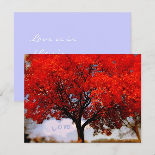 Liebe ist im Roten Fall Baum Postkarte (Vorne/Hinten)