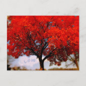 Liebe ist im Roten Fall Baum Postkarte (Vorderseite)