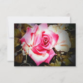 Liebe ist in Bloom Probe Abendessen Einladung (Rückseite)