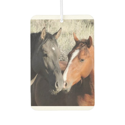 Liebe ist in der Luft Autolufterfrischer (Vorderseite)