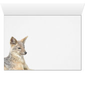 Liebe ist in der Luft (Jackals) Karte (Innenansicht Horizontal (Unten))