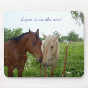 Liebe ist in der Luft - Pferde Mousepad