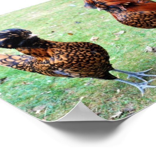 Liebe ist in der Luft Poster (Ecke)