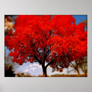 Liebe ist in der Luft Poster