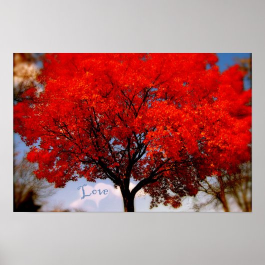 Liebe ist in der Luft Poster (Vorne)