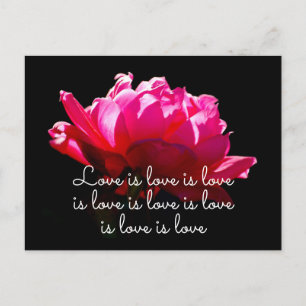 Liebe ist Liebe Dramatisch Romantische Rosa Rose Postkarte
