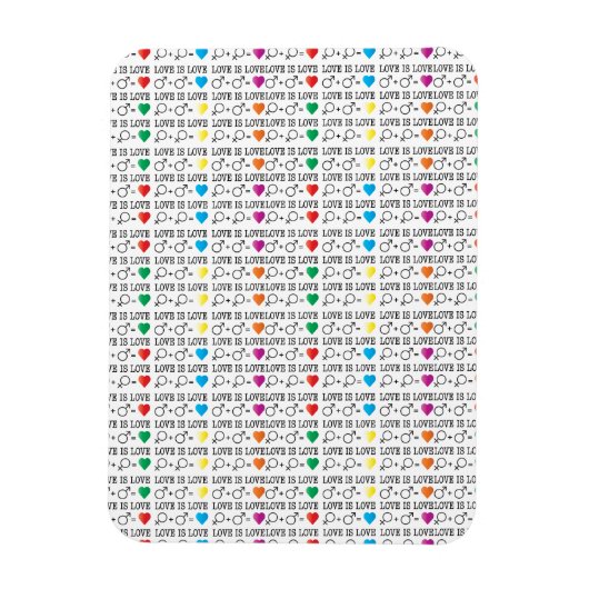 LIEBE ist LIEBE Gleichheit Zitat in Regenbogenfarb Magnet (Vertikal)