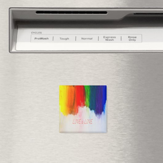 Liebe ist Liebe Rainbow Pride LBGQT Magnet (In Situ (Geschirrspüler))