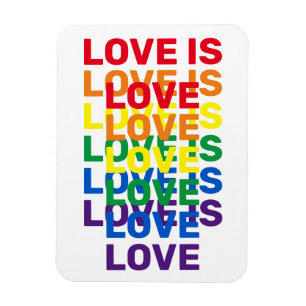 Liebe ist Liebe Regenbogen moderne Typografie cool Magnet