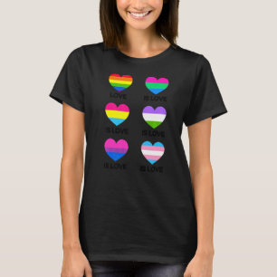 Liebe ist Liebe Transgender Diversity Rainbow Gay T-Shirt