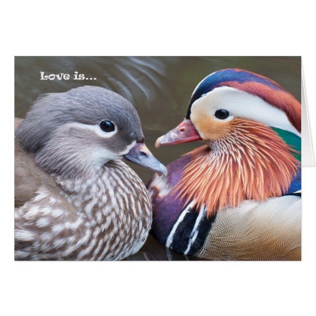 Liebe ist... Mandarins (Vorderseite (Horizontal))