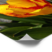 Liebe ist Patient Poster (Ecke)