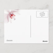 Liebe ist… Postkarte (Rückseite)