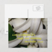 Liebe ist postkarte (Vorne/Hinten)