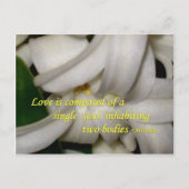 Liebe ist postkarte (Vorderseite)