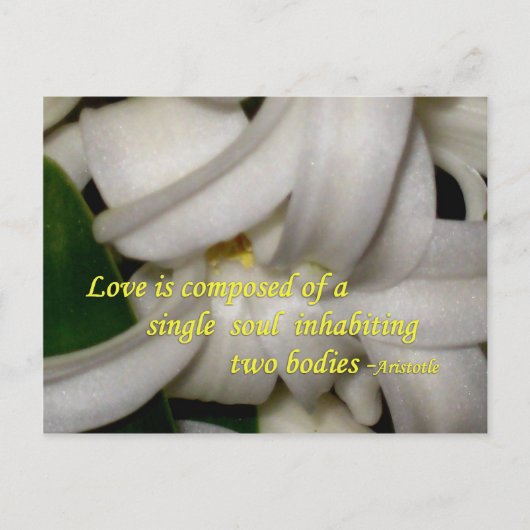 Liebe ist postkarte (Vorderseite)