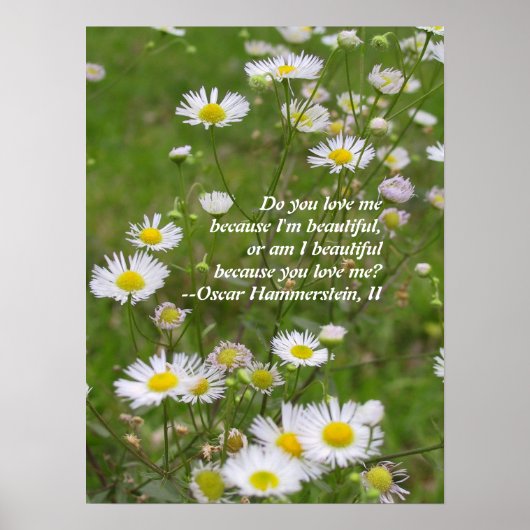 Liebe ist schön poster (Vorne)