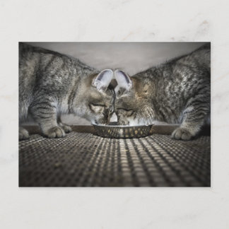 Liebe ist ... teilen postkarte