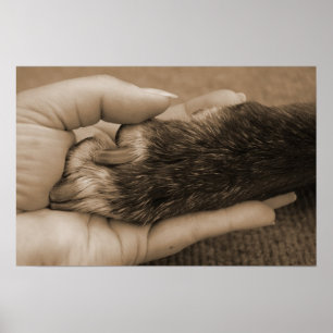 Liebe ist unbedingt poster