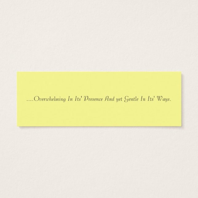 Liebe ist wie ein Elefant (Rückseite)