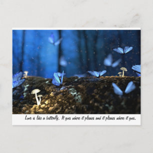 Liebe ist wie ein Schmetterling Postkarte