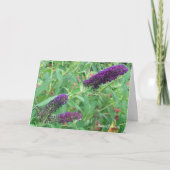 Liebe ist wie eine Schmetterlingszitat-Grußkarte Karte (Vorderseite)