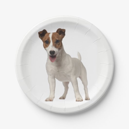 Liebe Jack Russel Terrier Welpen Hunde Papier Tell Pappteller (Vorderseite)