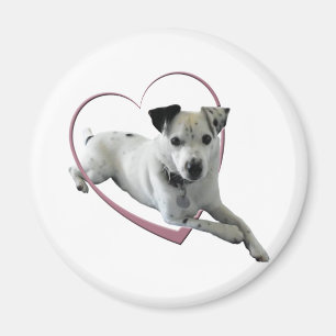 Liebe-Jack-Russell-Hundegeschenke Magnet