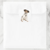 Liebe Jack Russell Terrier Welpe Dog Sticker / Sie (Tasche)