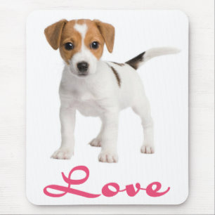 Liebe Jack Russell Terrier Welpe Hund Mousepad