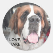 LIEBE, JAKE STICKER (Vorderseite)