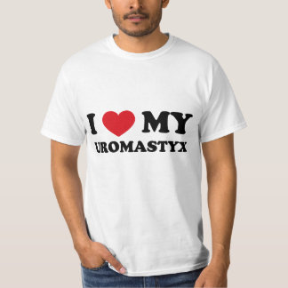 Liebe jenseits der Arten: Ich Liebe mein Uromastyx T-Shirt