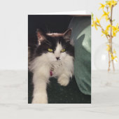 Liebe Karte (Gelbe Blume)