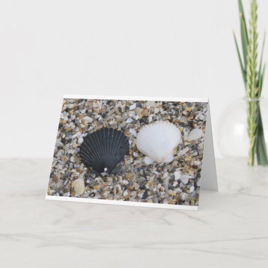 Liebe-Karte Muscheln Karte (Vorderseite)