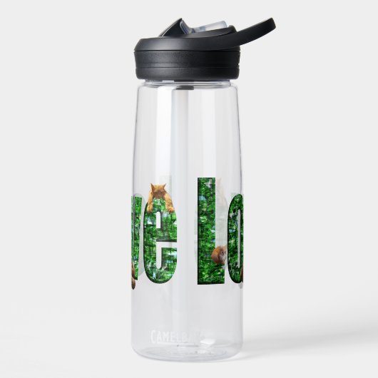 Liebe = Kätzchen, Trinkflasche (Links)