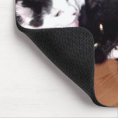Liebe-Katzen Mousepad (Ecke)