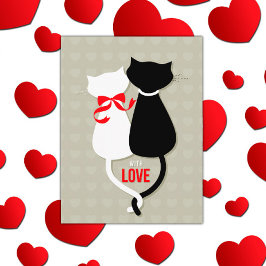 Liebe Katzen Valentine Feiertagspostkarte