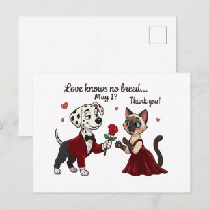 Liebe kennt keine Rasse Dalmatiner und Siamkatze Postkarte