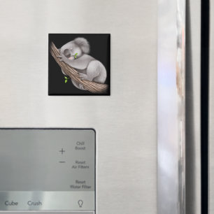 Liebe Koala Bears Magnet