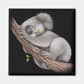 Liebe Koala Bears Magnet (Vorne)