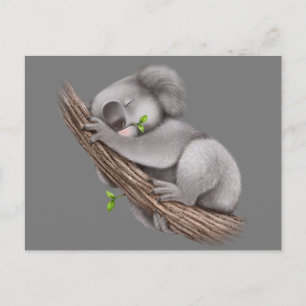 Liebe Koala Bears Postcard Postkarte