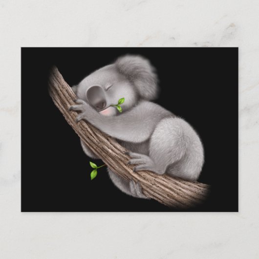 Liebe Koala Bears Postkarte (Vorderseite)