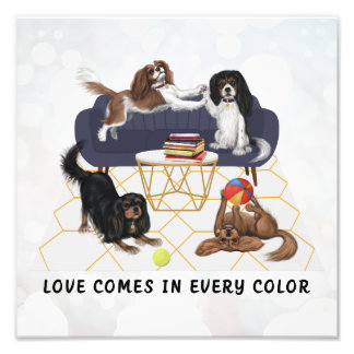 Liebe kommt in allen Farben | Cavalier King Charle Fotodruck