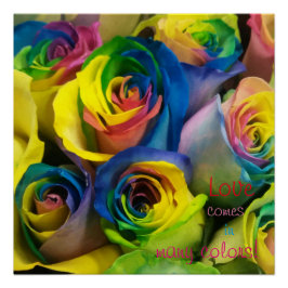 Liebe kommt in vielen Farben Rainbow Rose Poster