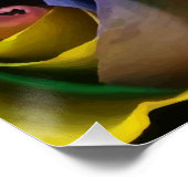 Liebe kommt in vielen Farben Rainbow Rose Poster (Ecke)