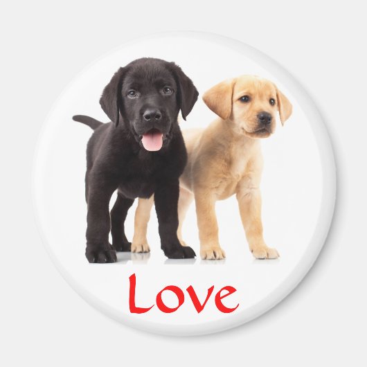 Liebe Labrador Retriever Welppies Kühlschrankmagne Magnet (Vorne)
