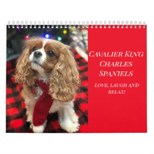 Liebe, Lachen und Entspannung Cavalier King Charle Kalender