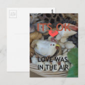 Liebe lag in der Luft Postkarte (Vorne/Hinten)